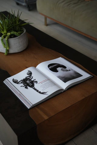 The Zodiac Collection